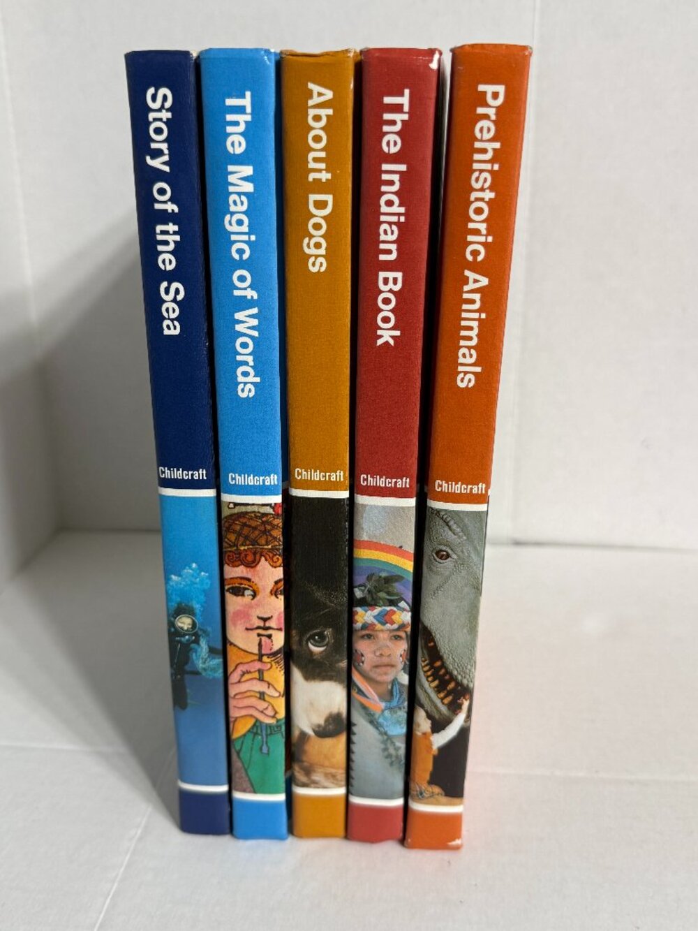 Childcraft Supplement Book Lot (5 in total) Hardcover Vintage Non Fiction 80s 90